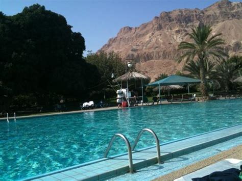 Kibbutz Ein Gedi Country Hotel (Israel) - Kibbutz Reviews - TripAdvisor