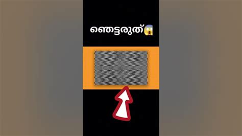 ഇത് കണ്ടു ഞെട്ടരുത് 😱‼️ Shorts Viral Malayalamfacts Youtube