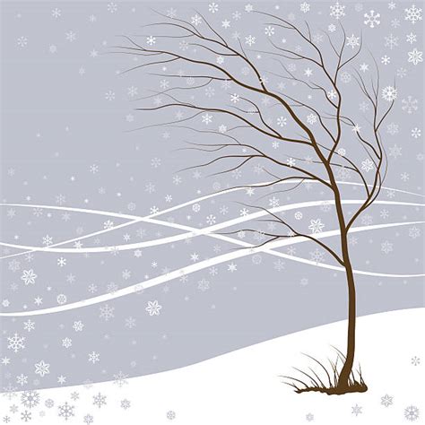 Royalty Free Snow Storm Clip Art, Vector Images & Illustrations - iStock