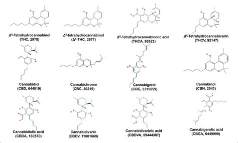 Chemical Structures Of Major Cannabis Cannabis Sativa L