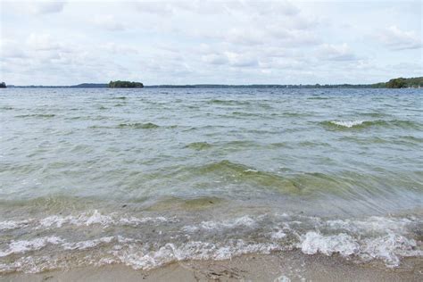 Prinzeninsel am Plöner See Wo der Wald aus dem Wasser wächst