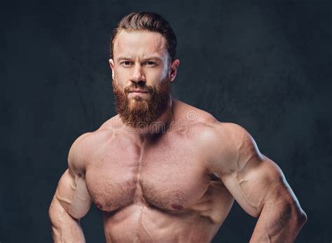 Portrait Of Bearded Shirtless Bodybuilder Stock Photo Image Of