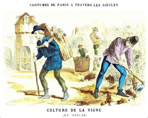 Culture de la vigne 15e siècle Simple illustration Painting Art