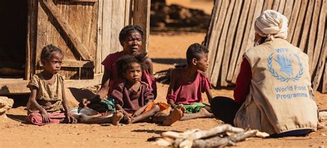 Relat Rio Da Onu Mostra Que Milh Es De Pessoas Passam Fome No Mundo