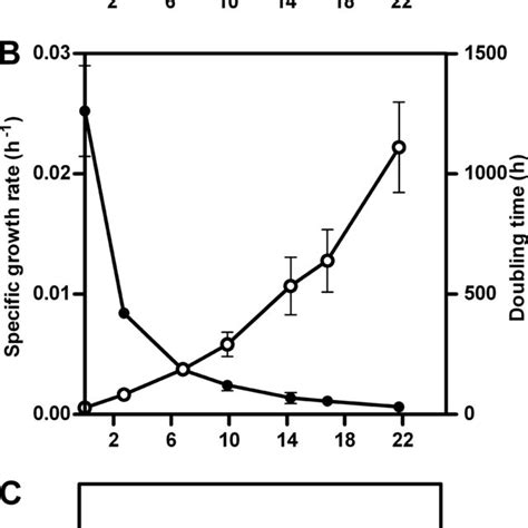 Growth And Viability Of S Cerevisiae CEN PK113 7D In Retentostat