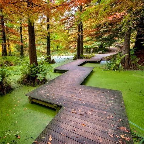 Botanical Garden Ruhr University Bochum By Pramio Garson Sembiring