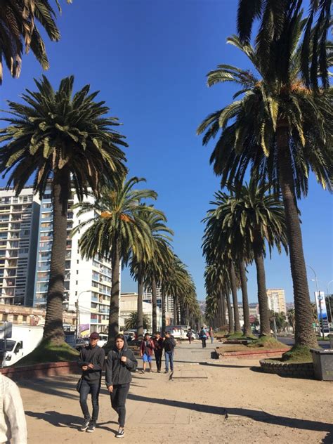 Viña Del Mar Exploring Chiles Seaside City Gypsy Sols