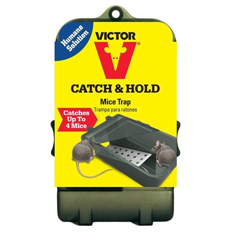 Victor Multi-Catch Live Mouse Trap-M333 - The Home Depot