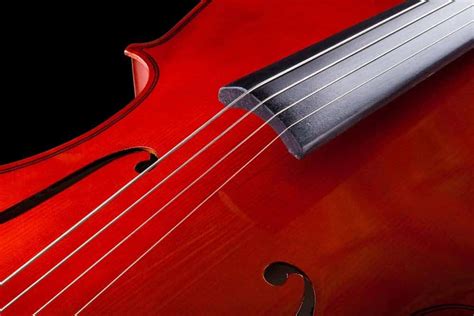 12 Popular Types Of Cellos Explained Verbnow