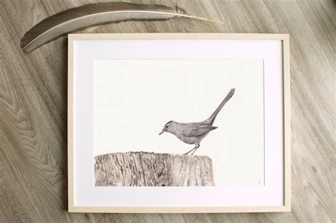 Original Cat Bird Drawing Bird Drawing Wildlife Drawing | Etsy