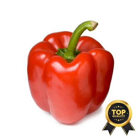 A Grade Inch Red Capsicum Vegetable Pan India At Rs Kg In