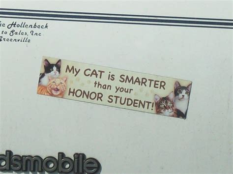 Cat Bumper Sticker Cat Bumper Stickers Bumper Stickers Bumpers