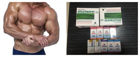 What are the side effects of HGH? - Knowledge - Rongxin Bio-Tech Co ...