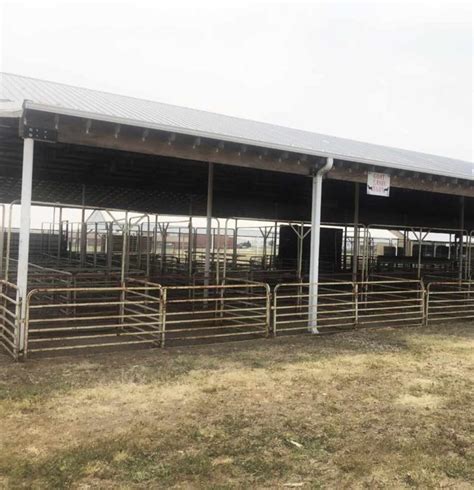 Livestock Barns Southeast Weld County Fair