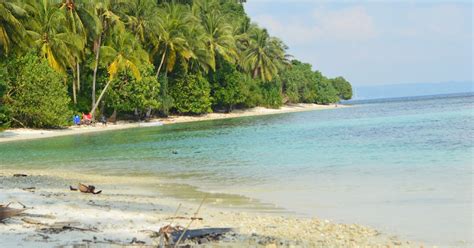 Menjaga Ekosistem Pantai Dan Laut Demi Keanekaragaman Makhluk Hidup