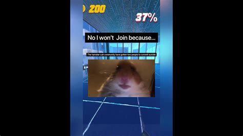 Best Hamster Pfp For Tiktok