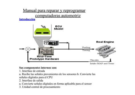 Manual Reparacion Reprogramacion Computadora Automotriz Componentes Ecu