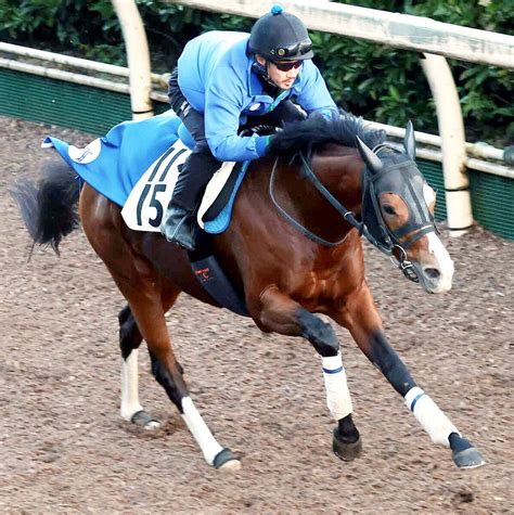 【注目馬動向】ゼッフィーロの香港ヴァーズでの鞍上はダミアン・レーン騎手に決定 スポーツ報知