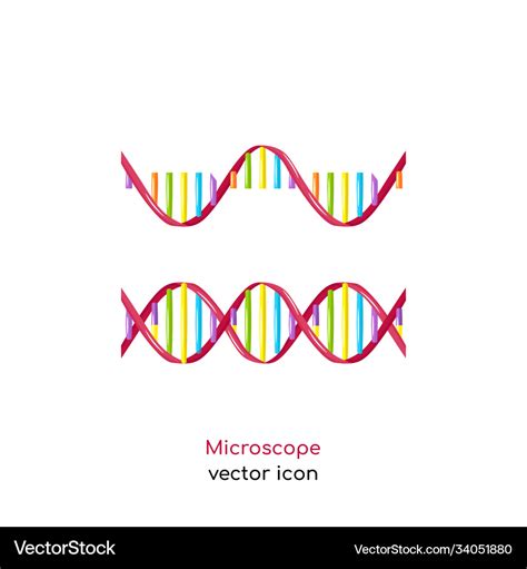 Dna Rna Icon Lizenzfreies Vektorbild Vectorstock