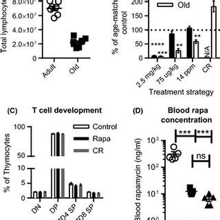 Rapamycin And Calorie Restriction Have Different Effects On Thymic