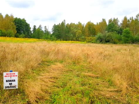 Działka 1200 m² przy lesie na sprzedaż Stare Budy Radziejowskie