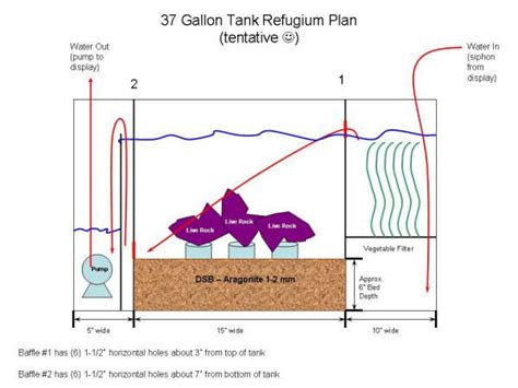 Refugium Basic setup | Salt water fish, Reef tank, Fish tank