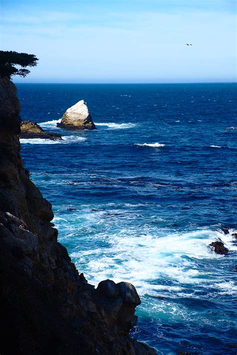 Ocean View North Shore Trail Point Lobos Mary And Andrew Flickr