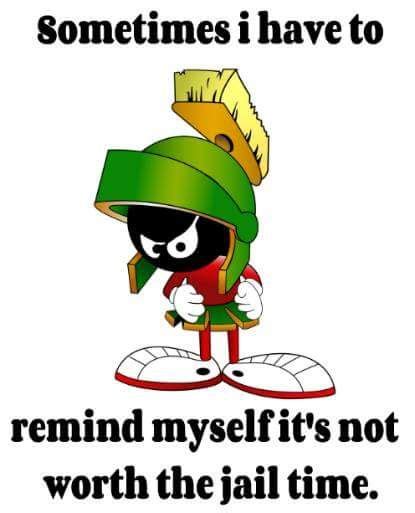 34 best Marvin the Martian Quotes images on Pinterest | Marvin the ...