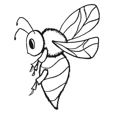 Dibujo De Abeja Para Colorear Libro Vector Premium