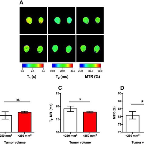 A Representative T1 T2 And Magnetization Transfer Ratio Mtr