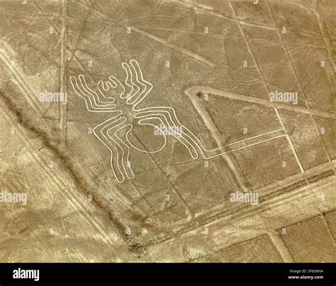 Spider geoglyph, Nazca or Nasca mysterious lines and geoglyphs aerial ...