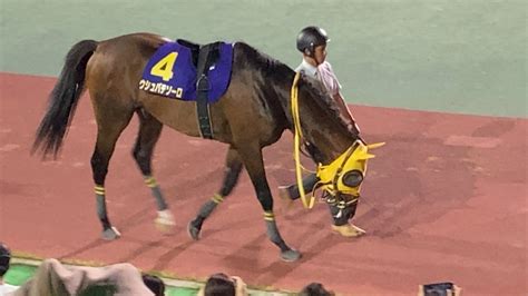 ウシュバテソーロ、bcクラシックの壮行レース日本テレビ盃を見に行って来ました 湘5＠湘南の旅人