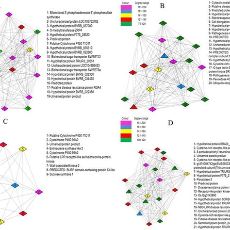 Venn Diagram Showing Shared And Unique Degs Of Wheat Root Transcriptome