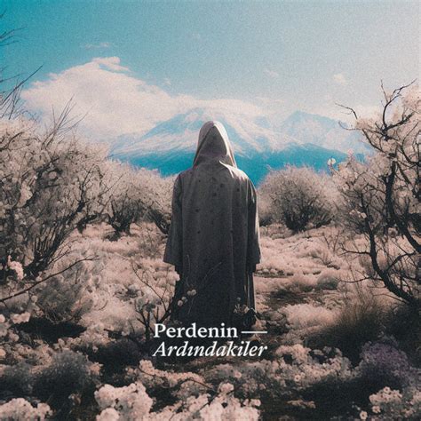 Bir Soruya Tutuldum Single by Perdenin Ardındakiler Spotify