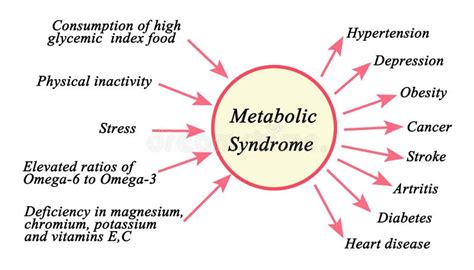 Consequences Of Metabolic Syndrome Stock Illustration Illustration Of