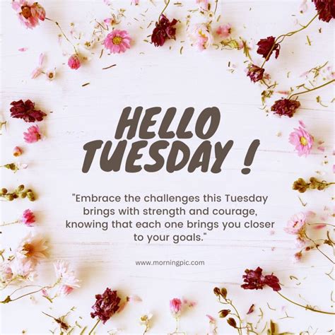 250 Happy Tuesday Quotes To Boost Your Mood And Motivation Morning Pic