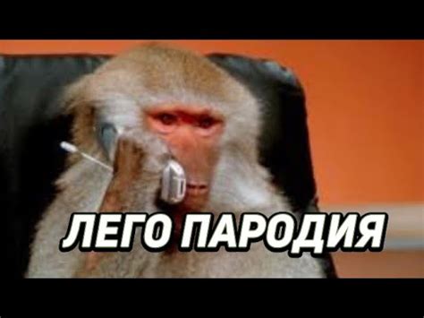 Обезьяна разговаривает по телефону | тик ток мем | Лего пародия - YouTube