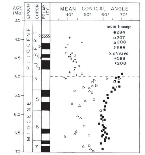 An Example Of The Pattern Of Phyletic Gradualism Adapted From