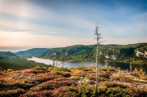 La MRC De Charlevoix Remet 20 000 Pour Deux Projets Le Charlevoisien