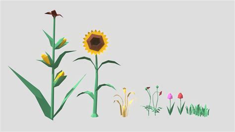 Farming crops & flowers 3D low poly models - 3D model by freya.vries [48ea675] - Sketchfab