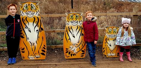 Knowsley Safari Park Review : Days Out With Kids