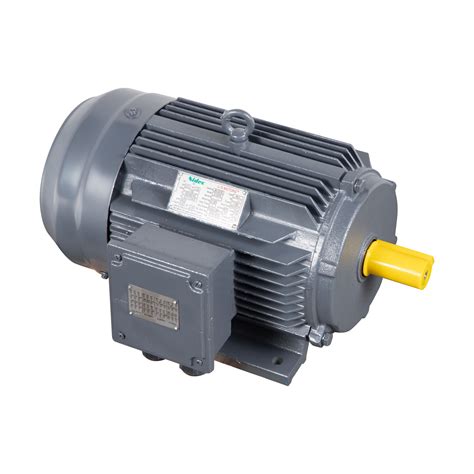 Ye2 Series H132m Smoke Extraction Asynchronous Ie2 Electric Motor