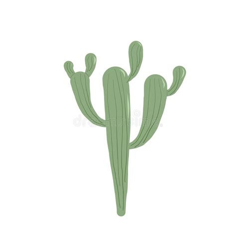 Nopal Mexican Cacti Cactus Isolation On White Background Stock