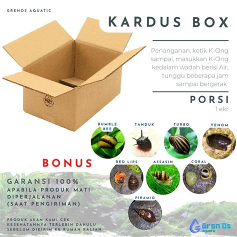 Kardus Box Free Ornamen Keong Turbo Tanduk Bumble Bee Assasin Pembersih