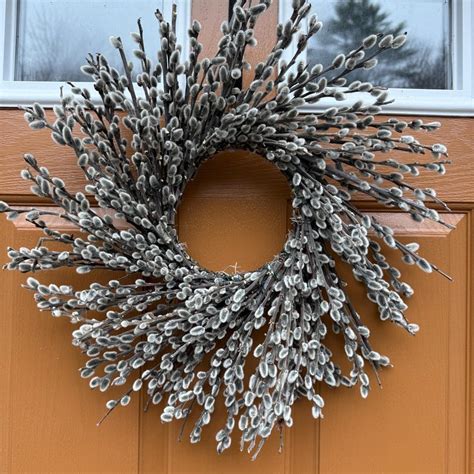 Pussy Willow Wreath Etsy