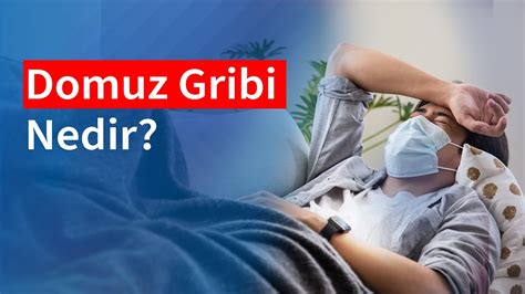 Domuz Gribi Nedir Belirtileri ve Tedavi Yöntemleri Aysevle