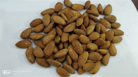 Hard Organic Almond Nuts Feature High In Protein Taste Crunchy At