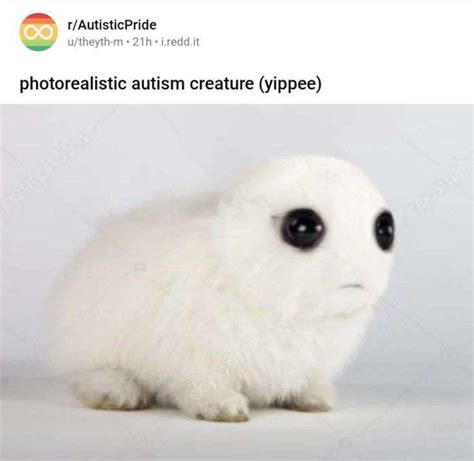 yippee | /r/okbuddyretard | TBH / Autism Creature / Yippee | Know Your Meme