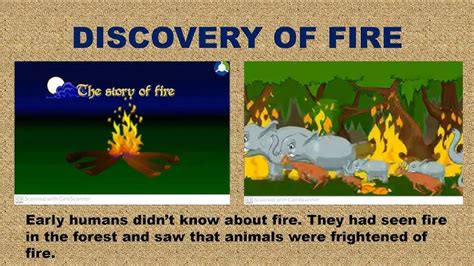 Discovery Of Fire By Early Man