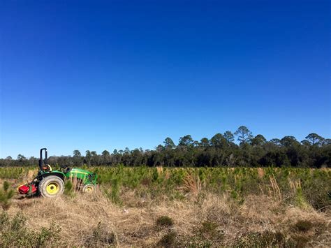 Fotos gratis paisaje césped horizonte cielo tractor campo